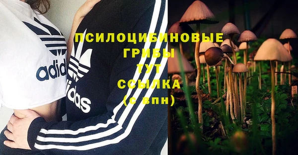 первитин Нефтекумск
